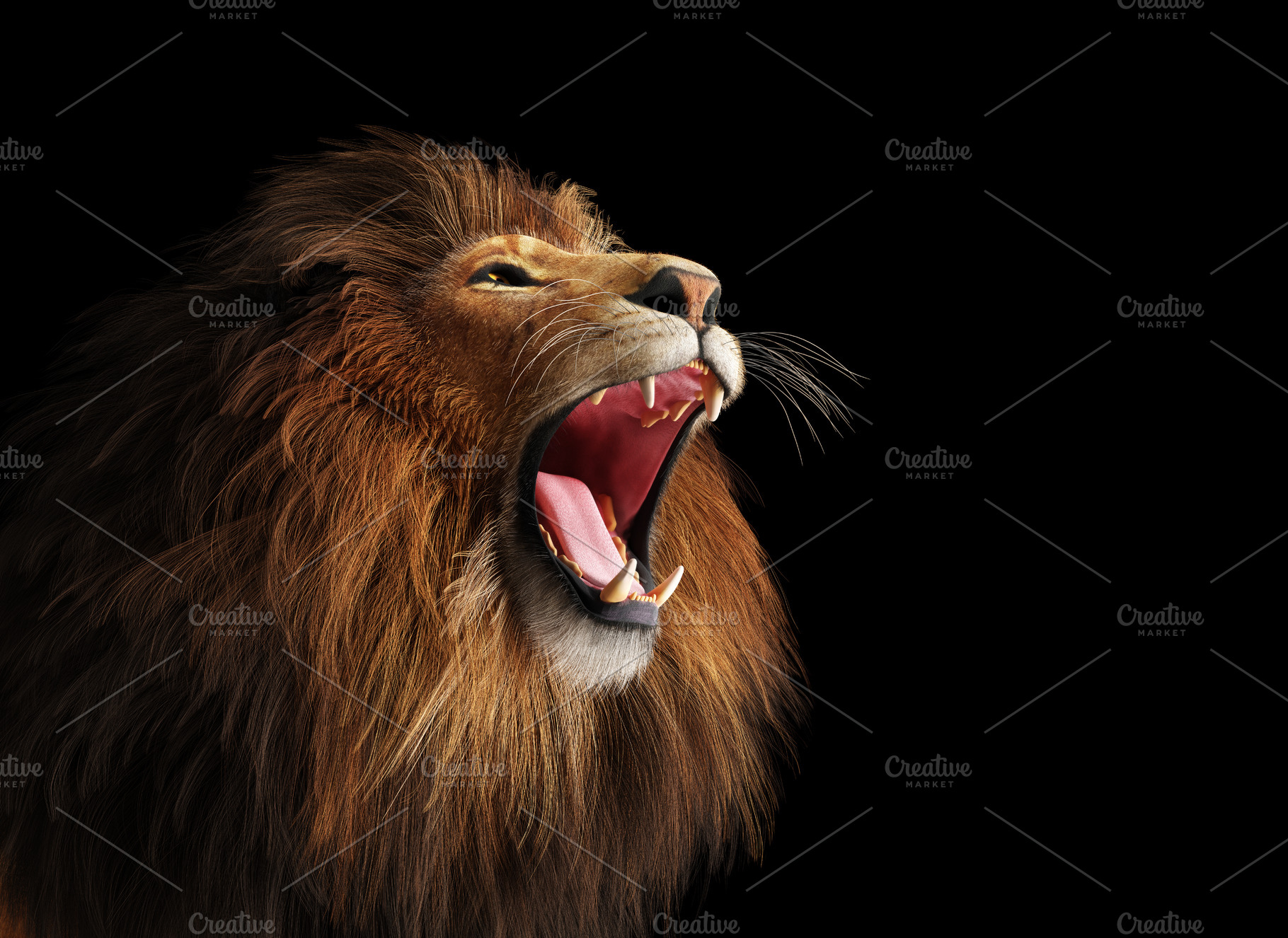 Lion roaring portrait on black., an Animal Photo by Photocreo Michal Bednarek