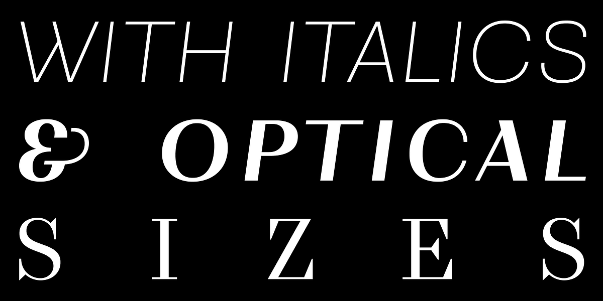 WT Volkolak, a Serif Font by Wraith Types (Photo 8 of 8)