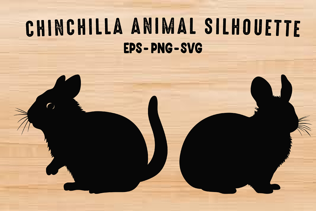 Chinchilla Animal Silhouettes Vector, an Animal Illustration by Gfx Expert Team (Photo 1 of 3)