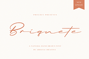 Briquete | Natural Brush Font, a Script Font by Ardana Creative (Thumbnail 1 of 14)