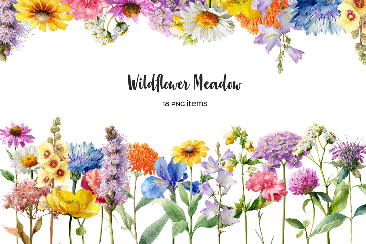 Watercolor wildflower meadow clipart, an Object Illustration by Art and Funny (Photo 1 of 4)