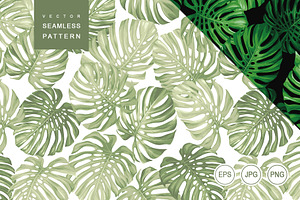 Foliage Pattern. Monstera Plant.