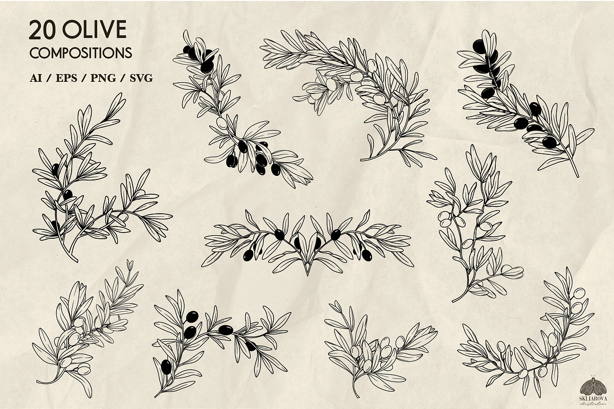 Olive line art illustrations