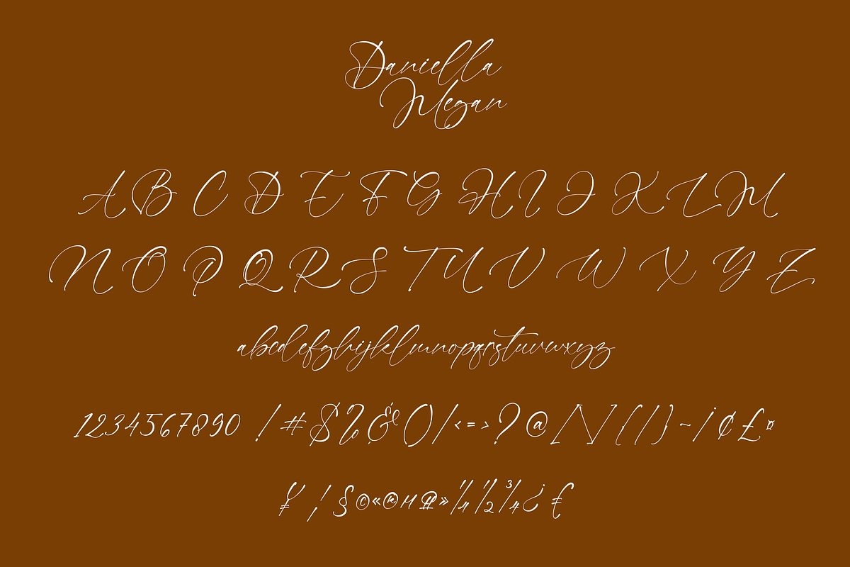 Daniella Megan - Modern Signature, a Handwritten Font by CreateBigSupply (Photo 9 of 9)