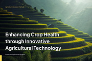 Yellow Green Agriculture Pitch Deck, a Presentation Template by Claymoon Lab (Thumbnail 1 of 2)