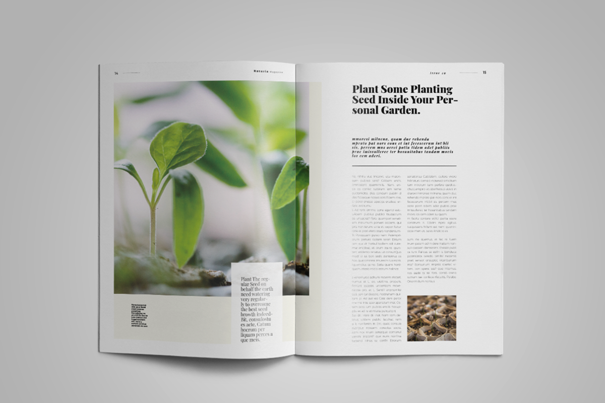 Naturia | Magazine Template, a Magazine Template by spidergraph (Photo 7 of 11)