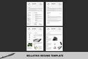 Resume Template Bundle, a Resume Template by Nina Shaw (Thumbnail 5 of 7)