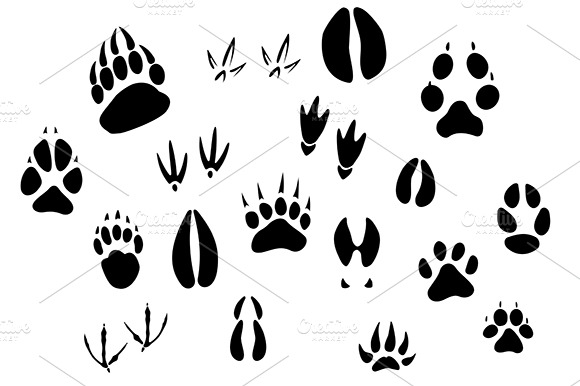 Animal Footprints Silhouettes