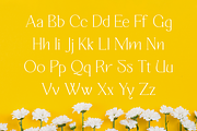 Quisking - Display Serif Font, a Font by RockboyStd (Thumbnail 10 of 12)
