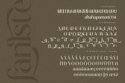 Fanlste Ligature Typeface Font, a Serif Font by Storytype Studio (Thumbnail 12 of 13)