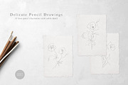 Embrace - Pencil Florals & Textures, a Texture Illustration by Greta Ivy (Thumbnail 2 of 10)