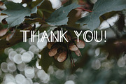 Lucca, a Sans Serif Font by Blossom (Thumbnail 6 of 6)