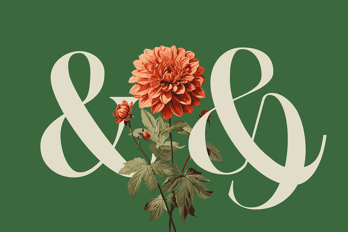 Louise - Elegant Ligatures Serif, a Serif Font by Fortunes Co (Photo 7 of 14)