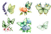 Watercolor Green Butterfly Floral, an Illustration by Watercolor design (Thumbnail 3 of 5)