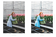 Lightroom Presets VSCO Film, an Action Add-On by BeArt-Presets (Thumbnail 3 of 20)