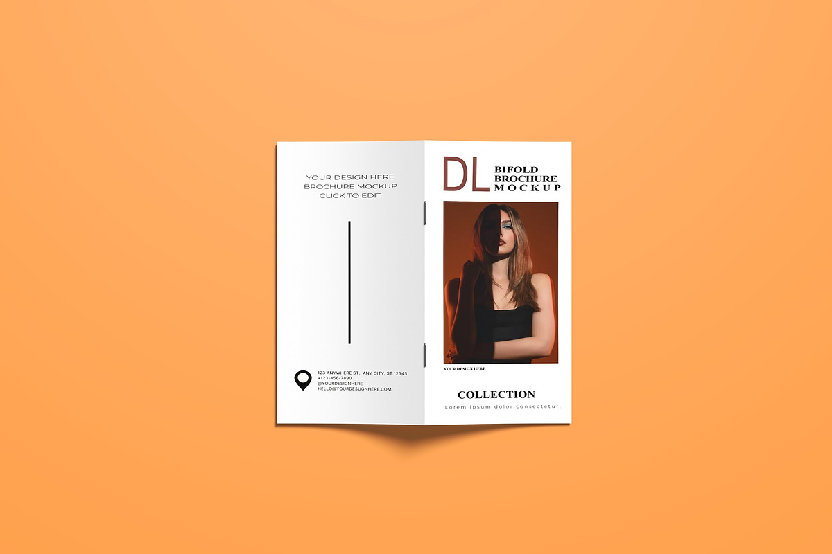 DL Brochure Mockup, a Books & Magazine Mockup by Lxadesign (Photo 11 of 12)