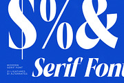 Beachy Lemon Modern Serif Font, a Serif Font by timelesstype.co (Thumbnail 13 of 20)