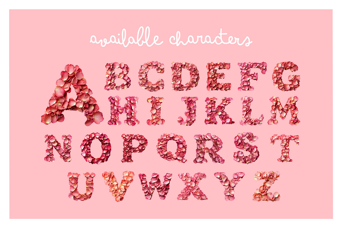 Petal OTF Font, a Font by ink drop (Photo 4 of 7)