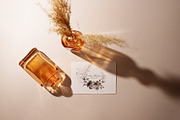 Neutral Boho Flowers, an Illustration by BlumenSoul (Thumbnail 11 of 13)