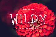 WILDY FONT FEMININE & FUN, a Sans Serif Font by NadaNora (Thumbnail 1 of 4)