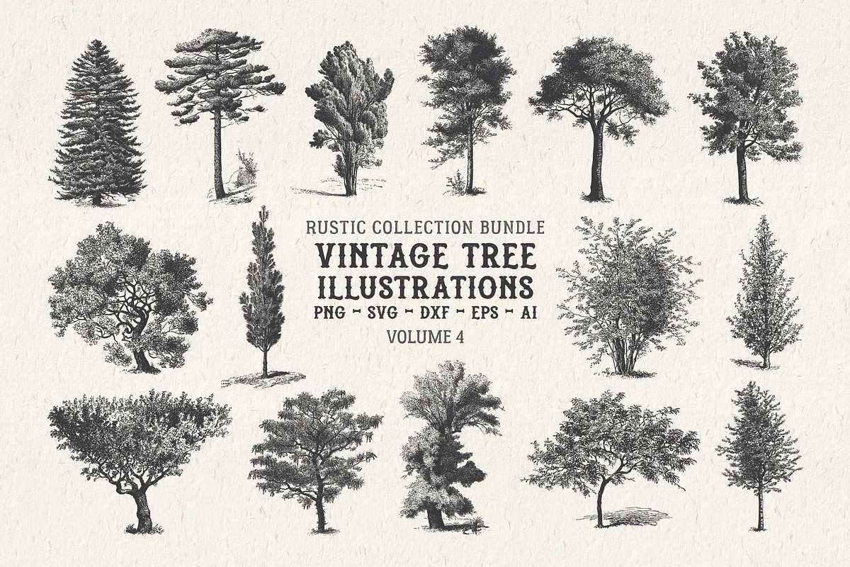Vintage Tree Vector Bundle Vol. 4, an Object Illustration by Seaquint (Photo 1 of 5)