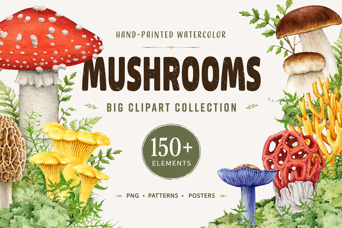Mushrooms Watercolor Clipart, a Food Illustration by AnitaPol (Photo 1 of 24)
