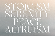Kondo - Luxury Display Typeface, a Serif Font by Surplus Type Co (Thumbnail 4 of 9)