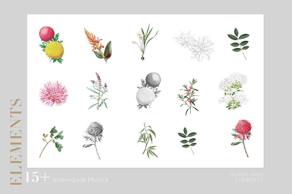 Verano, Summer Patterns & Motifs, a Pattern Graphic by Pink Linen (Photo 9 of 9)