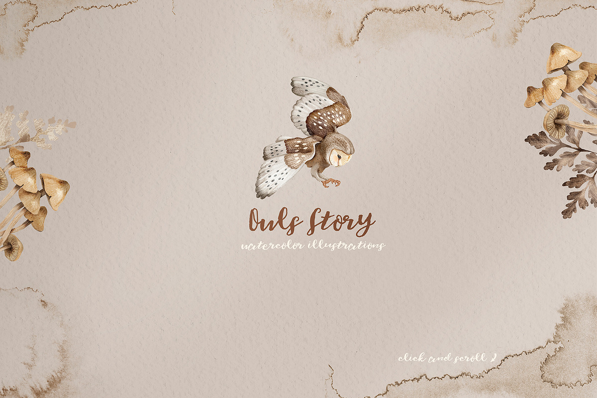 Owls Story watercolor forest clipart, an Animal Illustration by Alamella (Photo 2 of 12)