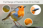 Pastel Mega Brush Set for Procreate, a Brushes & More by DeloresArt (Thumbnail 4 of 12)