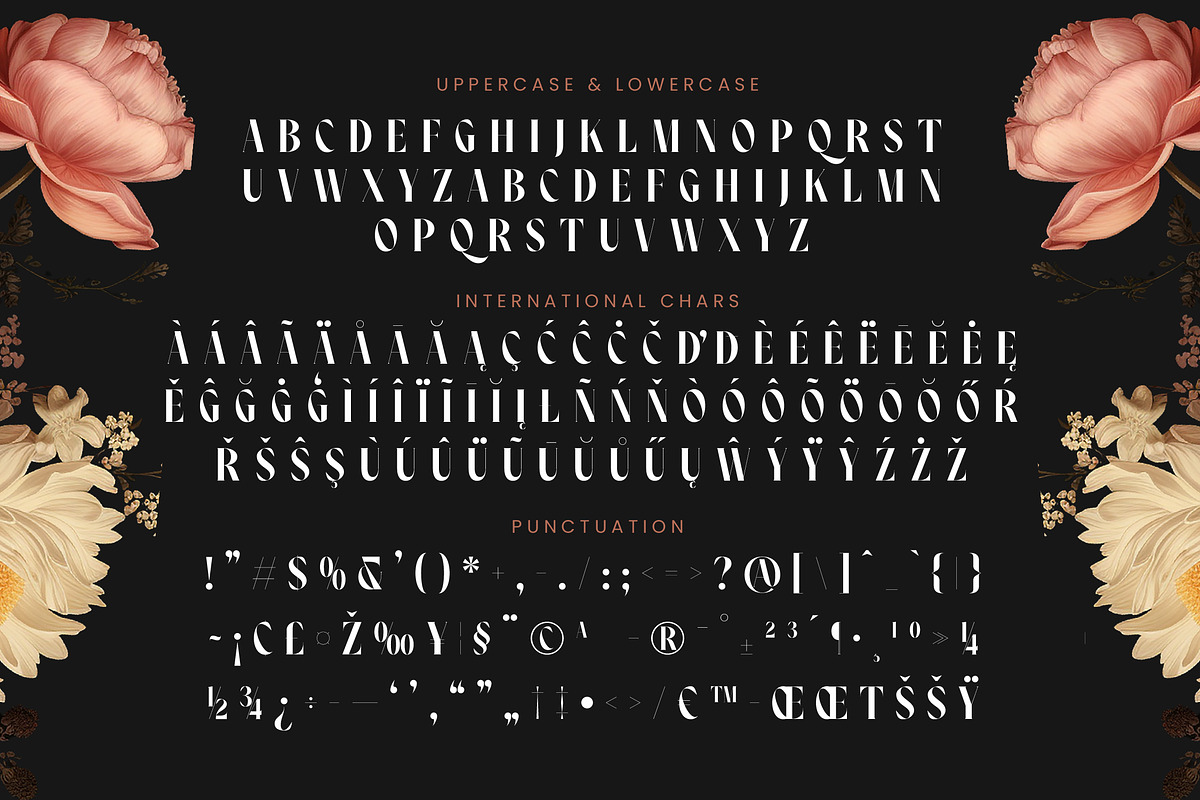 Noresa Modern Editorial Serif, a Serif Font by timelesstype.co (Photo 19 of 20)