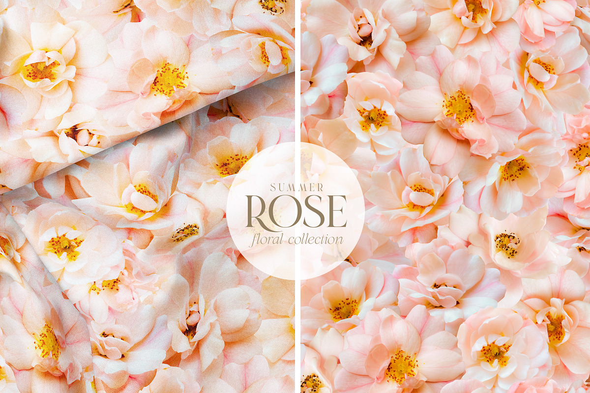 Summer Wild Rose Pink Florals, an Object Graphic by Eclectic Anthology (Photo 8 of 10)