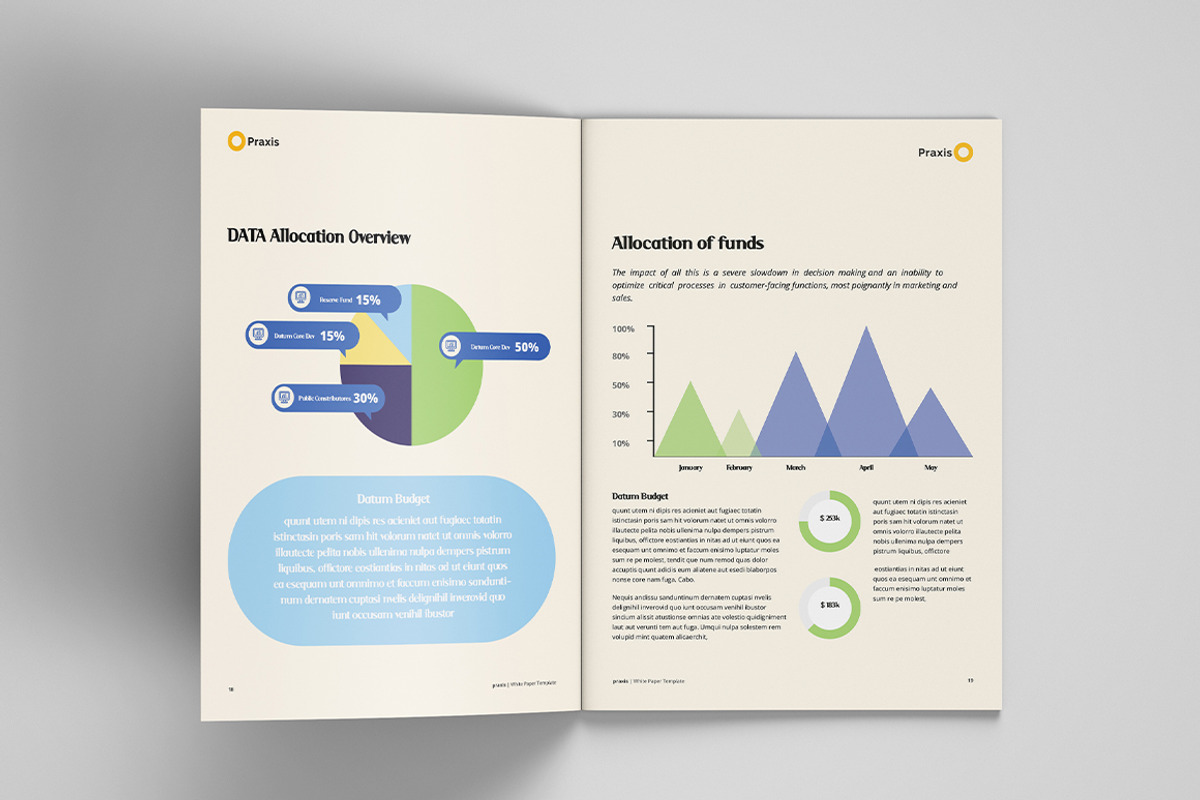 White Paper Template, a Brochure Template by azadcsstune (Photo 9 of 10)