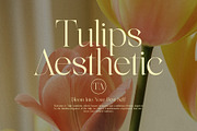 Nikolas Modern Serif Font, a Serif Font by Graphicxell (Thumbnail 8 of 8)