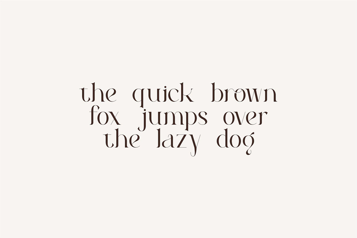 Roilra - Serif Ligature Font, a Serif Font by suhadidesign (Photo 4 of 13)