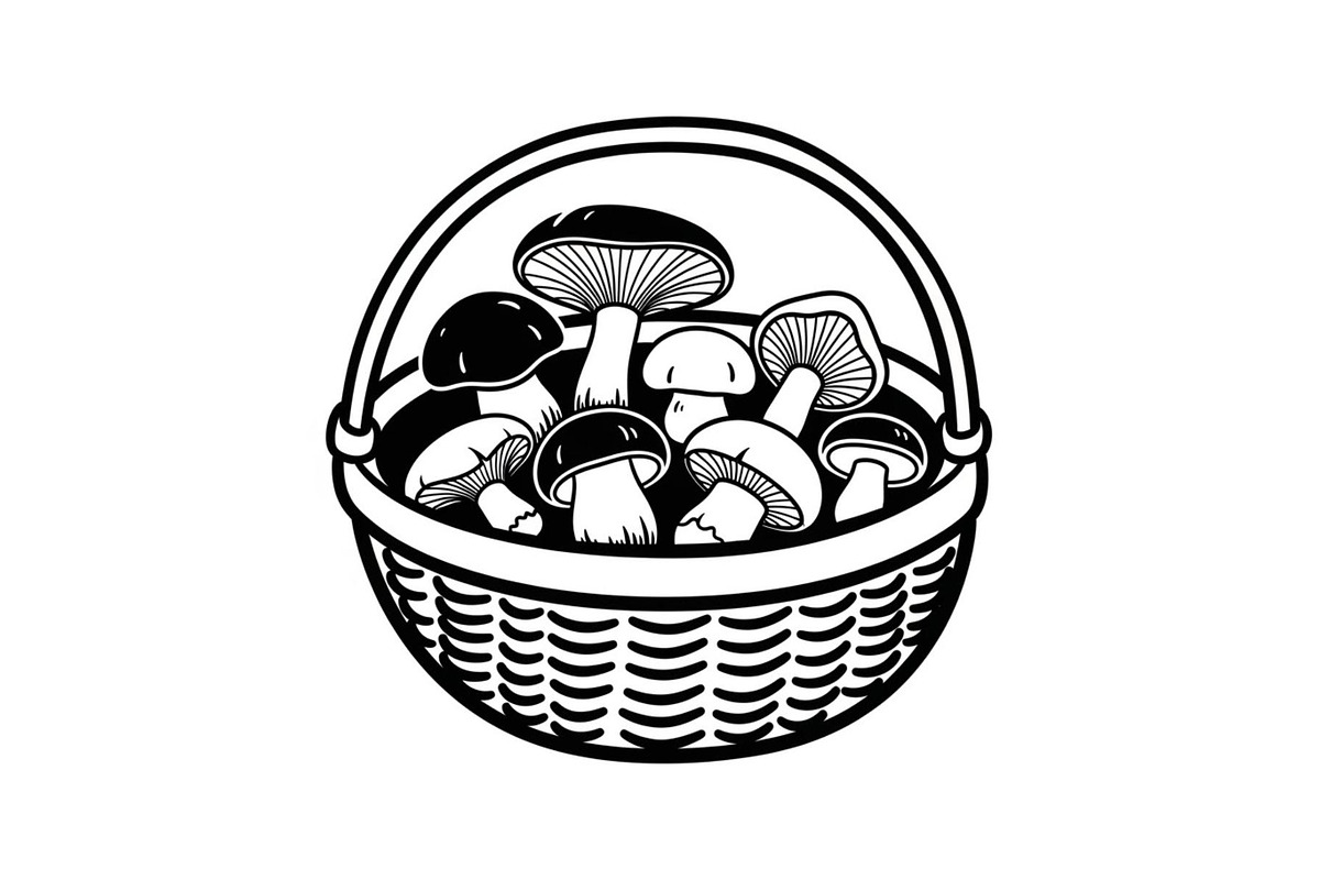50 Woven Basket Vector Bundle, an Illustration by Designs_River (Photo 45 of 51)