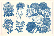 Vintage Flower Illustrations, a Decorative Illustration by Mr Vintage (Thumbnail 11 of 13)