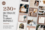 Dog Training Instagram Templates, a Social Media Template by EliteMatidi (Thumbnail 1 of 8)