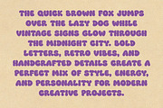 Moggy - Groovy Display Font, a Sans Serif Font by NTC Graphic (Thumbnail 8 of 10)