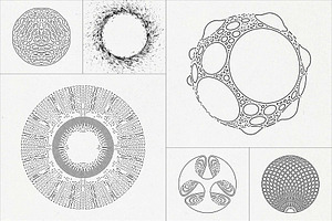 120 Circular Design Elements