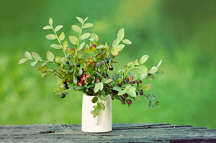 Summer berries in a wooden vase, a Nature Photo by pictures for you