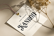 Vintageria Elegance, a Serif Font by Get Studio (Thumbnail 11 of 17)