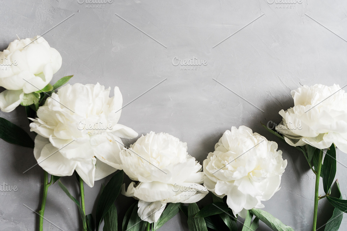 Eucalyptus Floral Mockup Bundle, a Social Media Template by LaPorte Images (Photo 13 of 14)