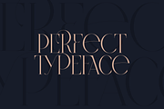 SALE! Type Master - serif font, a Serif Font by VP Fonts (Thumbnail 6 of 24)