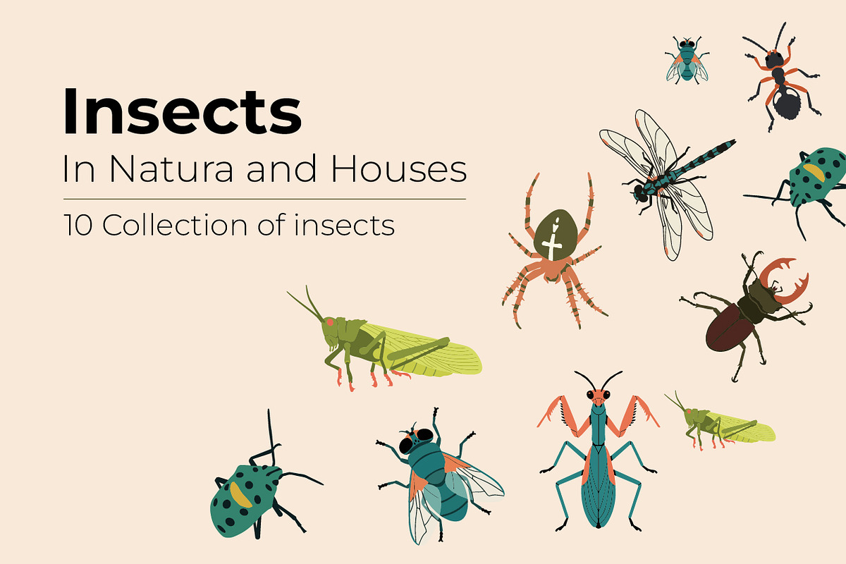 Collection of Insects, an Animal Illustration by By_Pedram (Photo 1 of 4)