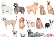 190+ Hand-drawn Watercolor Dogs, an Animal Illustration by ArtbyHien (Thumbnail 11 of 12)