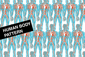 Human Body