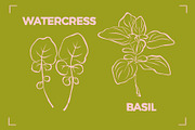 GREENS LINE ART SET (14 elements), a Food Illustration by Bonfloret Studio (Thumbnail 6 of 8)