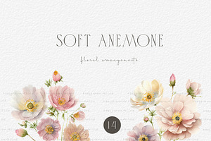 Soft Anemone Floral