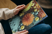 Microbes. 40 images, an Education Illustration by Handmadefont (Thumbnail 8 of 11)